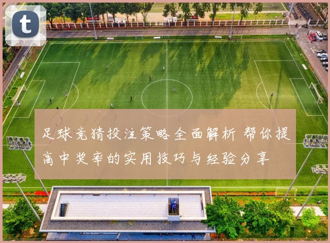 足球竞猜投注策略全面解析 帮你提高中奖率的实用技巧与经验分享